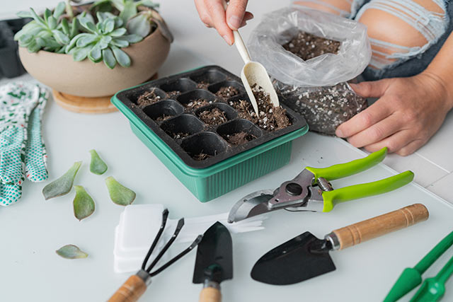 Nos idées de cadeaux de Noël pour les passionnés de jardinage et de nature